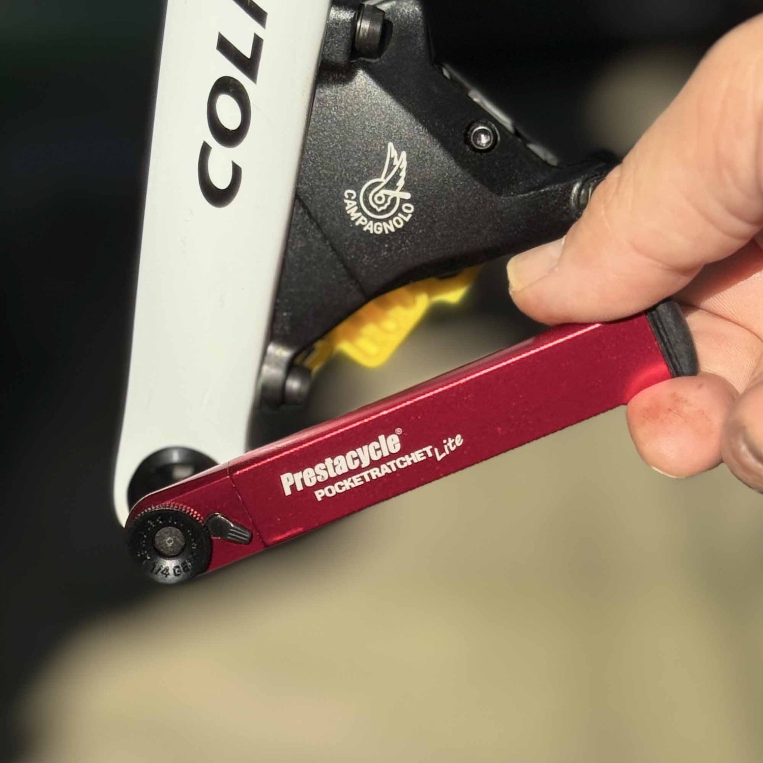 A hand uses the Prestacycle PocketRatchet Lite Pocket Multi-tool w/Bits stored in handle to adjust a bolt on a COLNAGO bike frame, with a Campagnolo component visible.